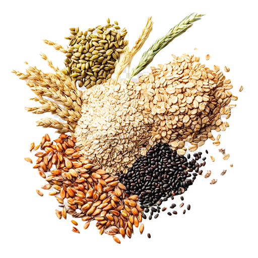 Seed