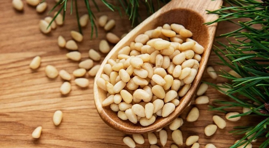 Pine Nuts: What Are The Health Benefits?