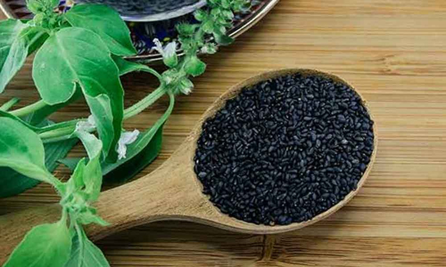 Sabja Seeds – Benefits & Nutrients