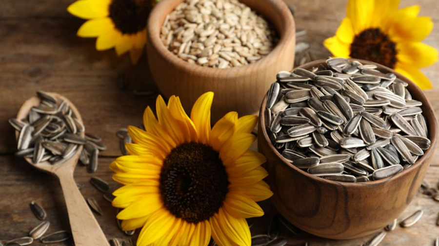 What Are Sunflower Seeds? Benefits & Nutrients